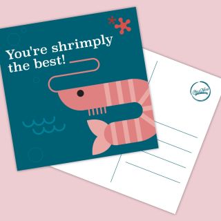Ansichtkaart You're shrimply the best!